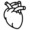 Cardio-vasculaire_Lymphatique