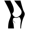 Locomoteur