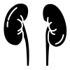 Urinaire
